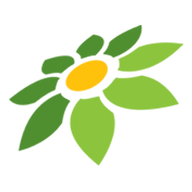 YANDEX LV
